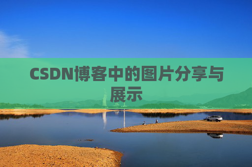 CSDN博客中的图片分享与展示
